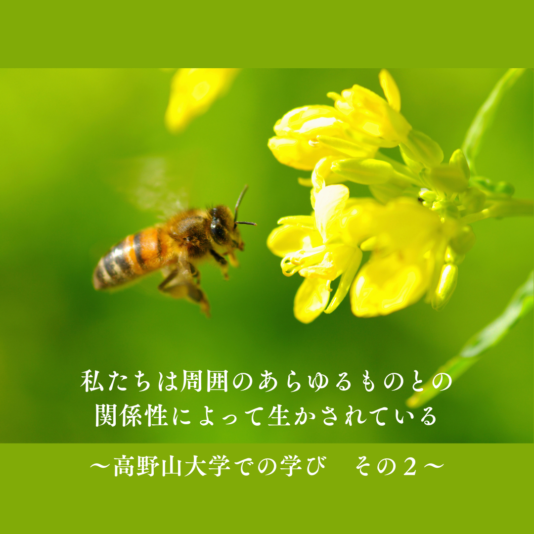 私たちは周囲のあらゆるものとの関係性によって生かされている～高野山大学での学び、その２～
