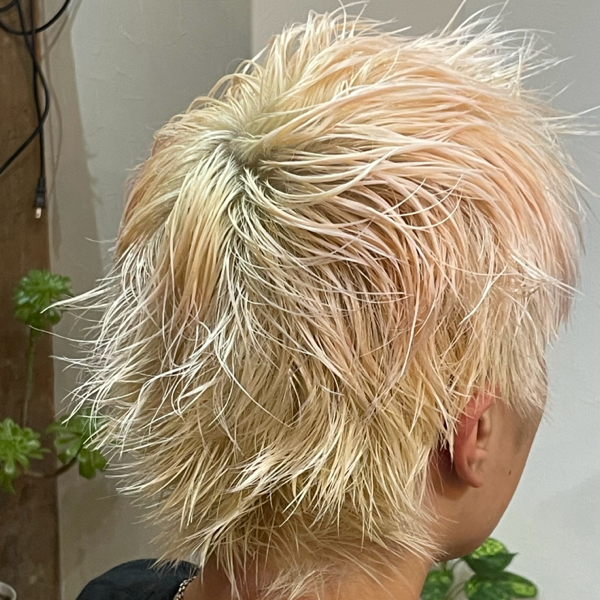 AURIYS hair vacation