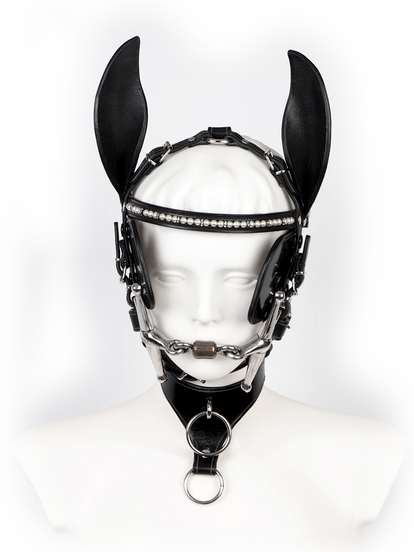 Pony Play Rabenleders Webseite