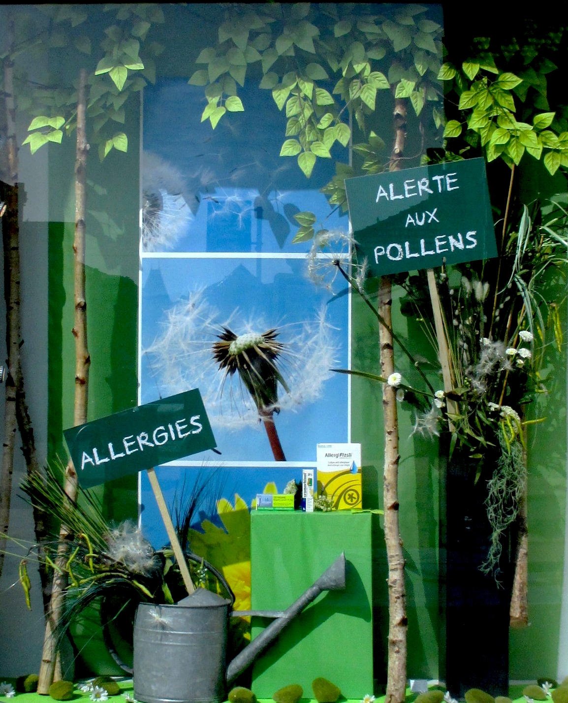 Vitrine pharmacie  Allergie pollens  Atelier Totem