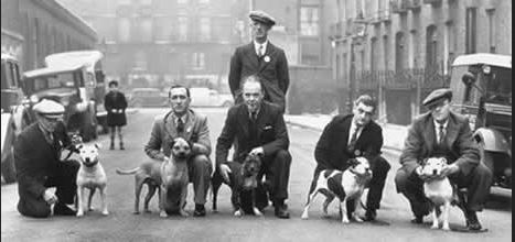 Crufts 1939