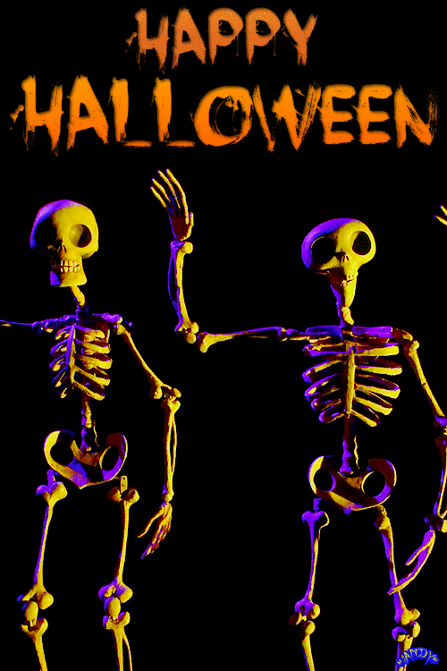 image.gif