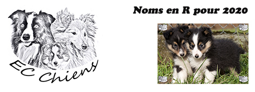 lettre chien 2020