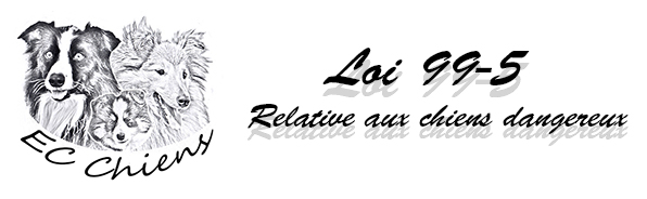 éducateur canin ; comportementaliste canin ; Doubs ; Haute Saône ; leadership training chien ; éduquer chien ; accueillir chiot ; dresseur canin ; educateur canin ; dresseur chiens ; club canin ; chiens dangereux ; loi 99-5 ; chien catégorisé
