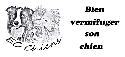 vermifuges chien ; vermifuger un chiot ; vermifuge chienne gestante ; parasites chien ; quand vermifuger son chien ; zoonose ; vermifuger son chien ; quand vermifuger un chien ; quand vermifuger son chiot ; fréquence vermifuge chien