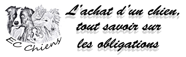 accueillir un chiot ; eduquer un chien ; comportementaliste canin ; educateur canin doubs ; comportementaliste chien ; éduquer chien ; acheter un chien ; adopter chien ; papiers obligatoires vente chien ; vices rédhibitoires