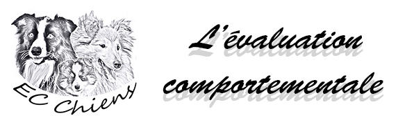 accueillir un chiot ; eduquer un chien ; comportementaliste canin ; educateur canin doubs ; comportementaliste chien ; éduquer chien ; acheter un chien ; adopter chien ; évaluation comportementale chien ; evaluation comportemental chien