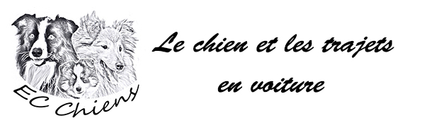chien malade en voiture que faire ; chien malade en voiture ; chien peur voiture ; chien stressé en voiture ; habituer chiot voiture ; chien en voiture long trajet ; voyager avec son chien ; chien voiture