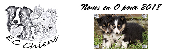 accueillir un chiot ; eduquer un chien ; comportementaliste canin ; educateur canin doubs ; comportementaliste chien ; educateur canin professionnel ; adopter chien ; choisir nom chien ; lettre nom chien 2018 ; idées nom chiot ; appeler chiot ; nom en o