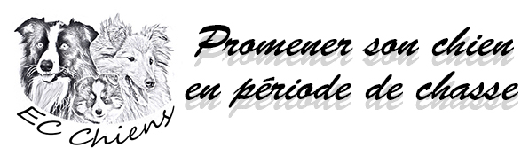 Promener chien chasse ; eduquer son chien ; eduquer un chien ; educateur canin ; comportementaliste canin ; accueillir chiot ; dresseur chien ; règlementation promenade en foret ; Doubs ; Baume les Dames ; Clerval