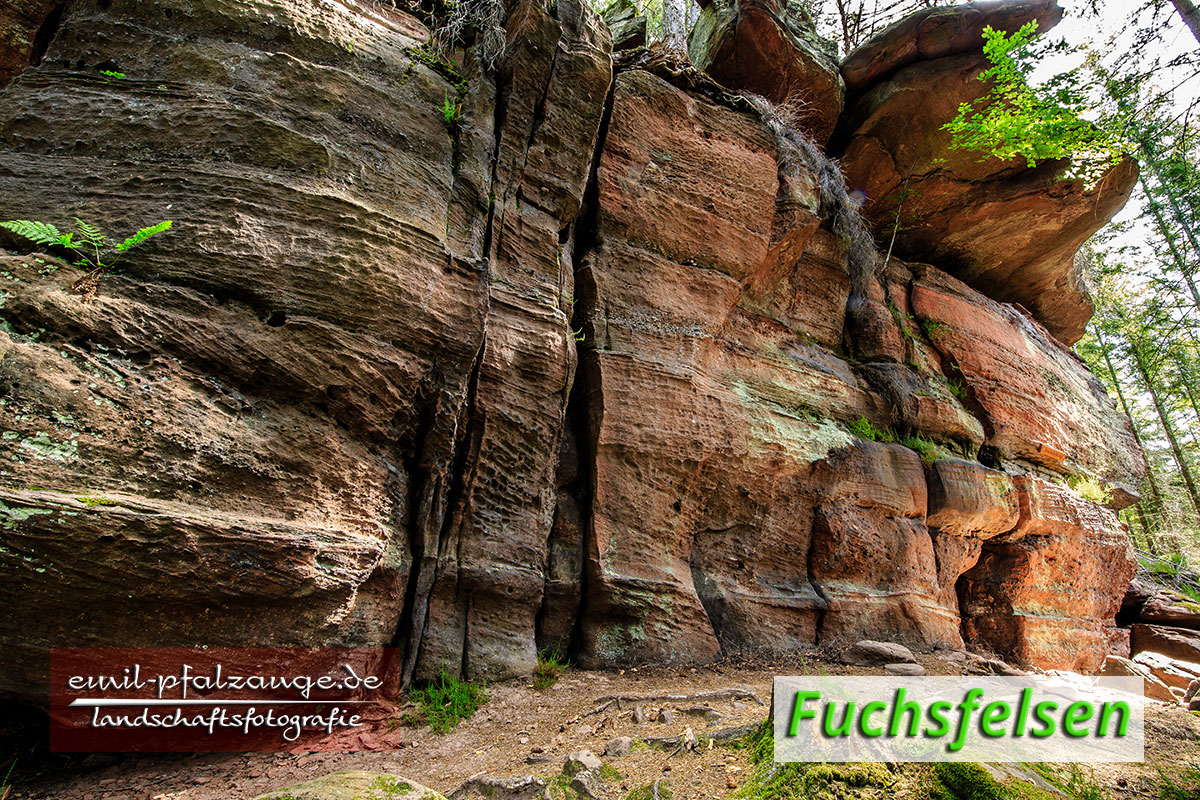 Fuchsfelsen Felsenwanderweg