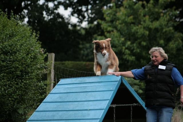 Balou Training A-Wand