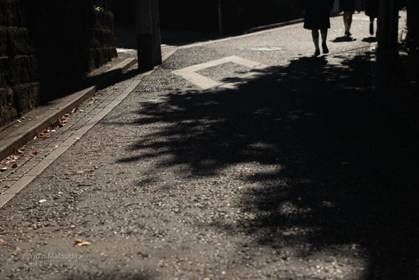 道の風景　横浜写真教室