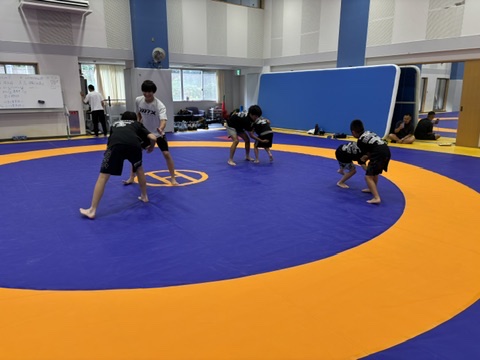 2025 - TEAM BISON'S by SENSHU UNIV/キッズ子供少年少女