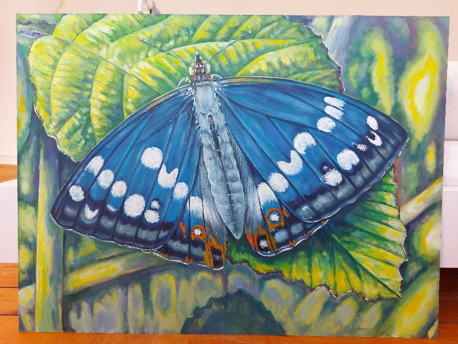 Blauer Schmetterling
