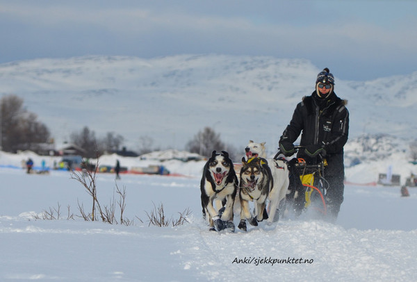 Pasvik Trail 2013