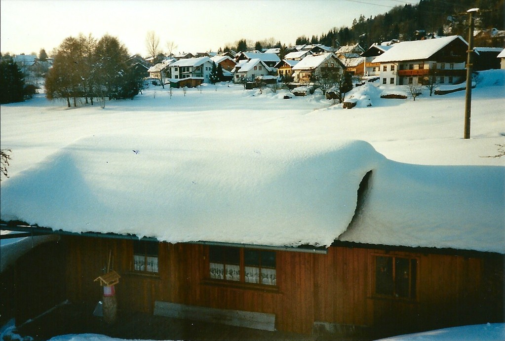 Blick vom Badezimmer und Schlafzimmer auf das Gartenhaus Februar 2010