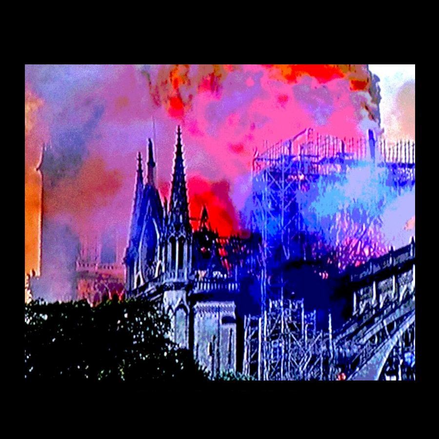 Brigitte Schön (Germany), Notre Dame Fire