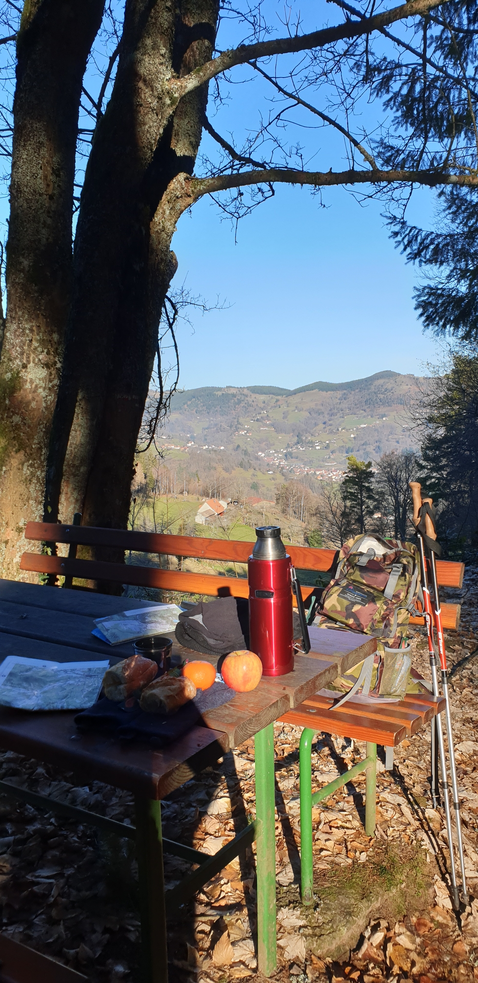 Rast am Sattelkopf