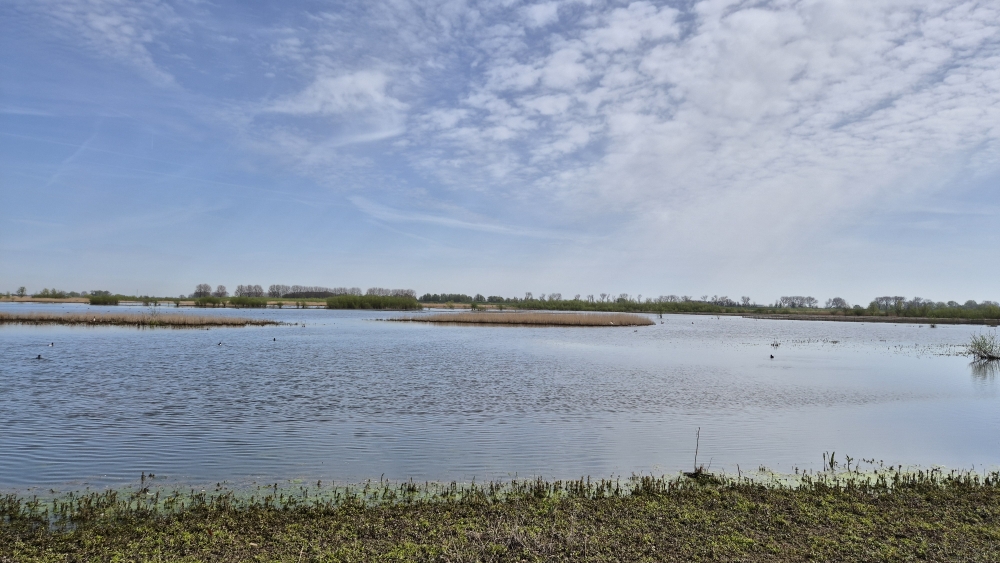 Abgedamte Maas