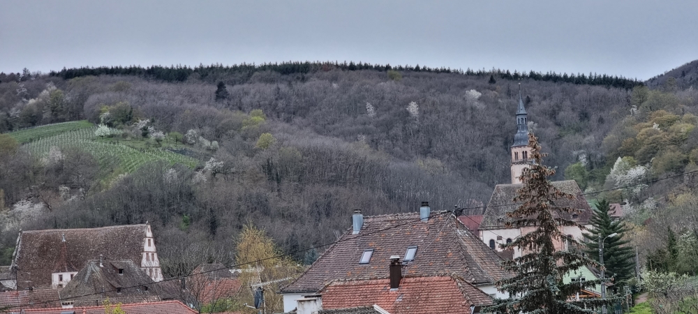 Andlau