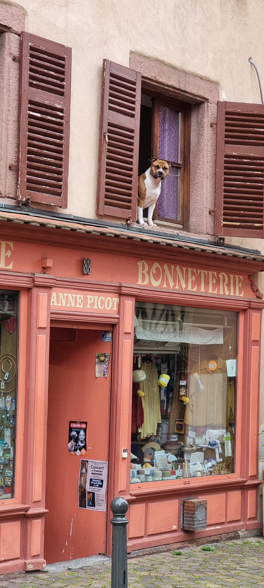Der Wachhund von Ribeauvillée