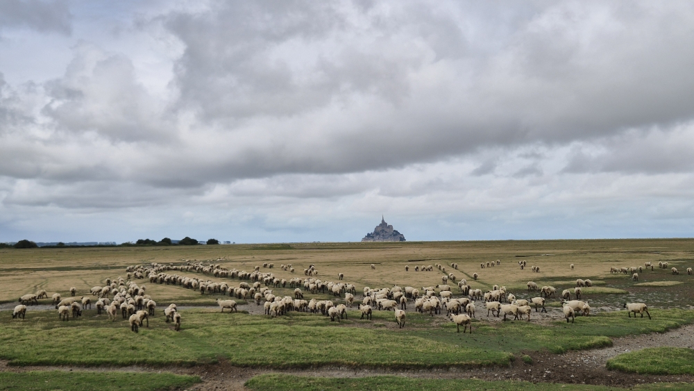 Abschied vom Mont St.Michel