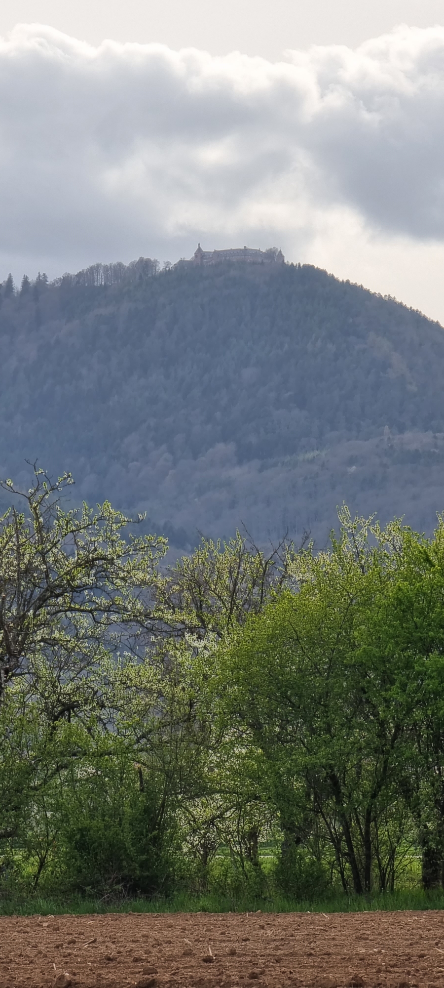 Mont St.Odile mit Kloster