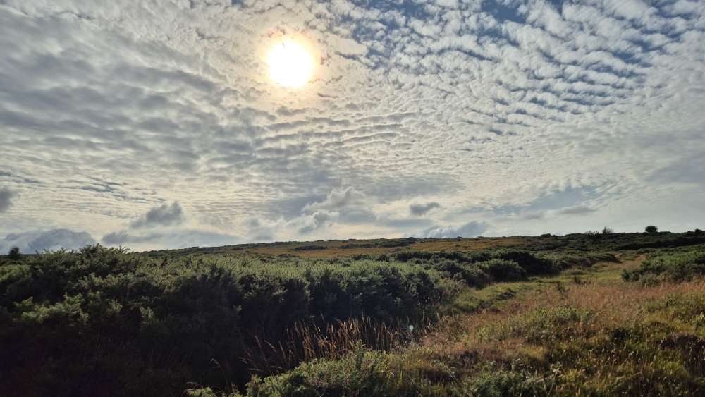 DARTMOOR