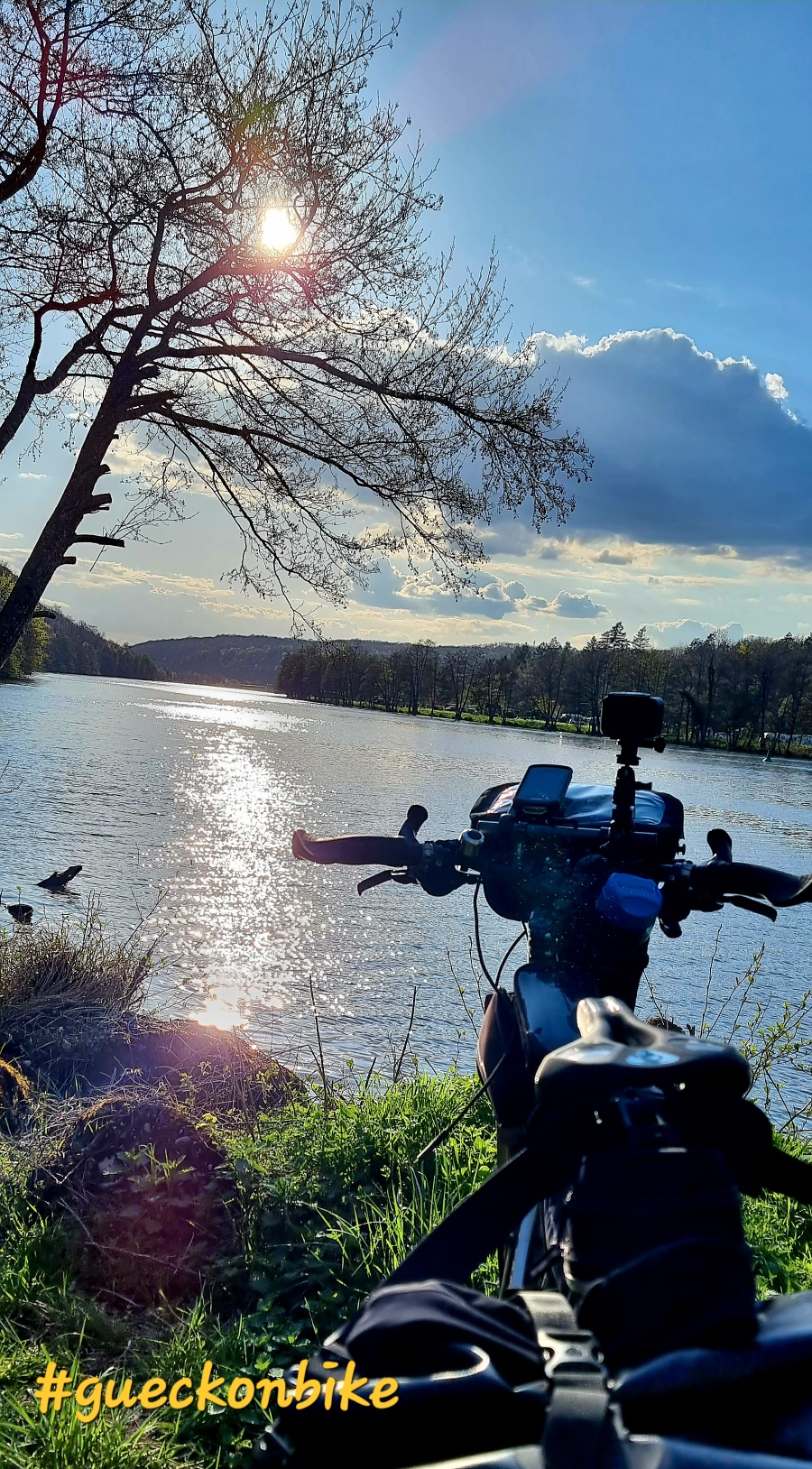 Moselblick