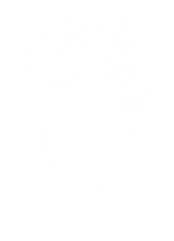 Ultra Endurance | Brevets | Ultradistanz | Bikepacking