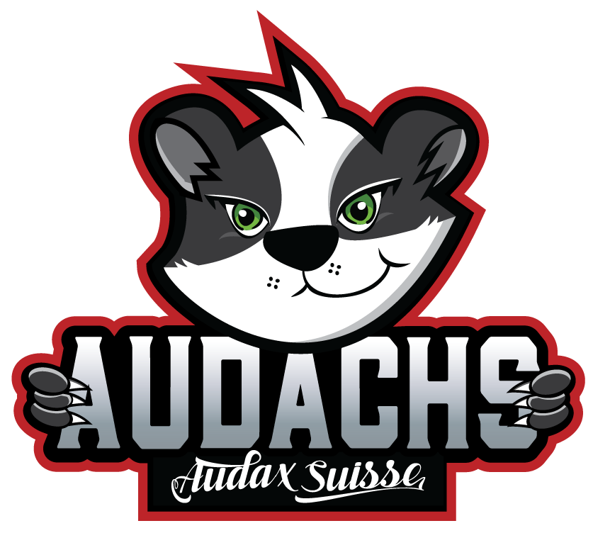 "Wir sollten den Dachs zu unserem Maskottchen machen. Hartes Tier, nachts aktiv." --- Massimiliano Poletto nach seinem Knochenbruch bzw. Rendez-vous mit einem Dachs