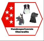 Logo HSVO