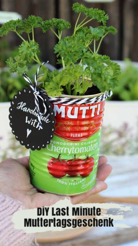 Geschenke Aus Dem Garten Book Dhruv Bhatt Books Pdf Free Download