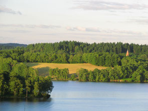 Eine Wanderung um den See mit einem Esel