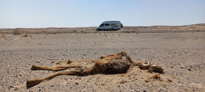 Wüste Lut im Iran, 55 Grad