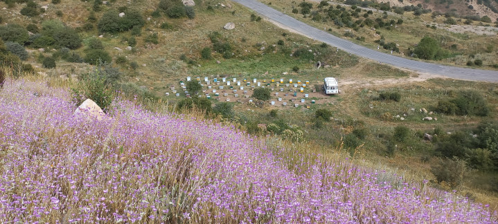 Armeniens hübsche Natur