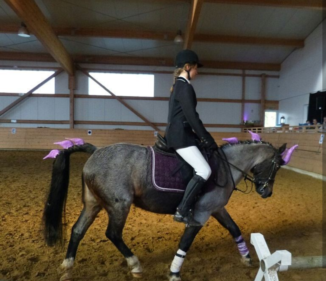 Tara Stoffers & Sydney (E-Kür)