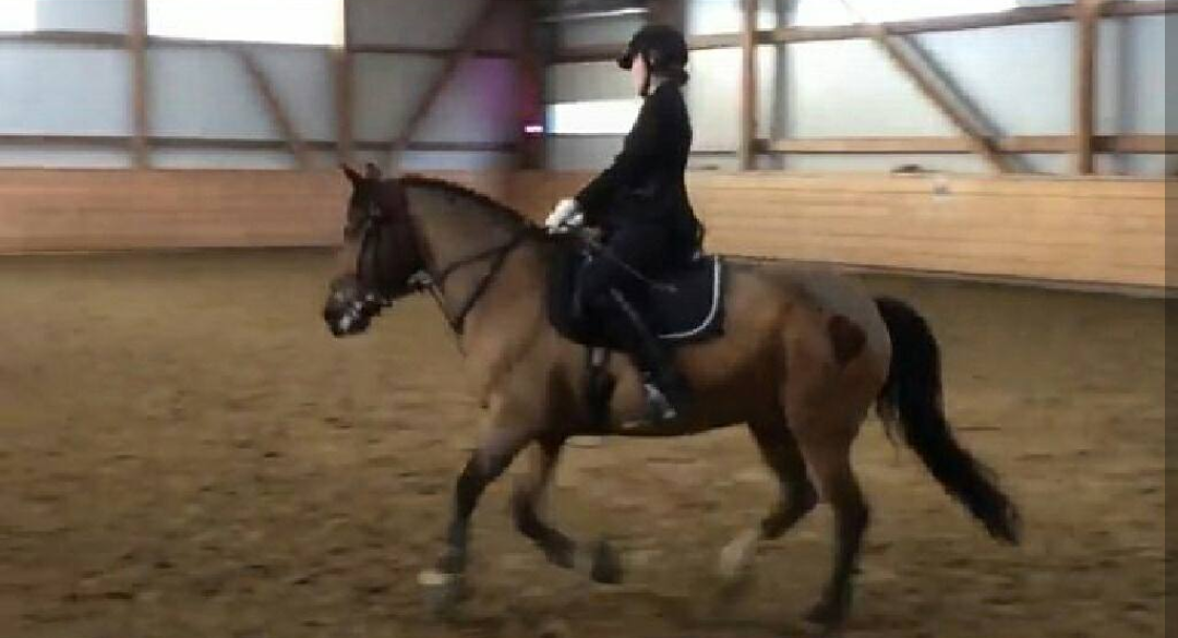 Anna Gründel & Bodo (E-Kür)