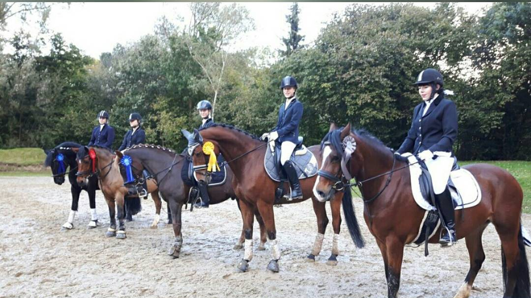 v.l.: Lilly Steppat & Odin, Anna Gründel & Bodo, Tia Stoffers & Mr. Forrest Gump, Svea Tietgen & Harybo und Anna Luisa Speer & Sunny