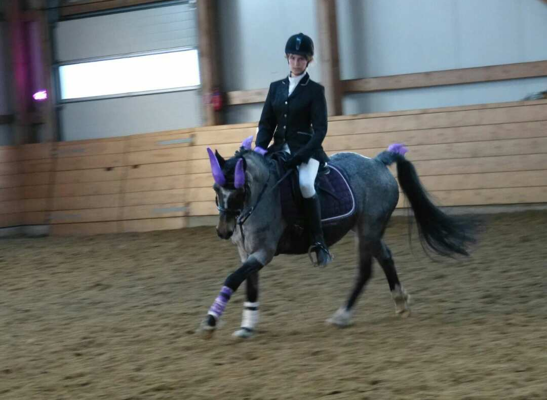 Tara Stoffers & Sydney (E-Kür)
