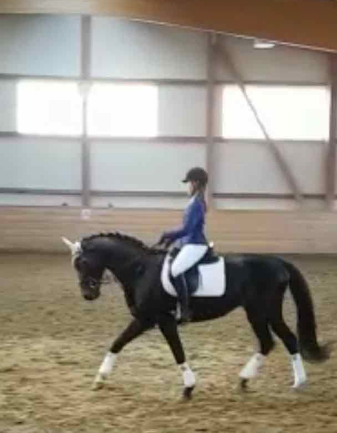 Lorna Sturm & Etalon (E-Kür)