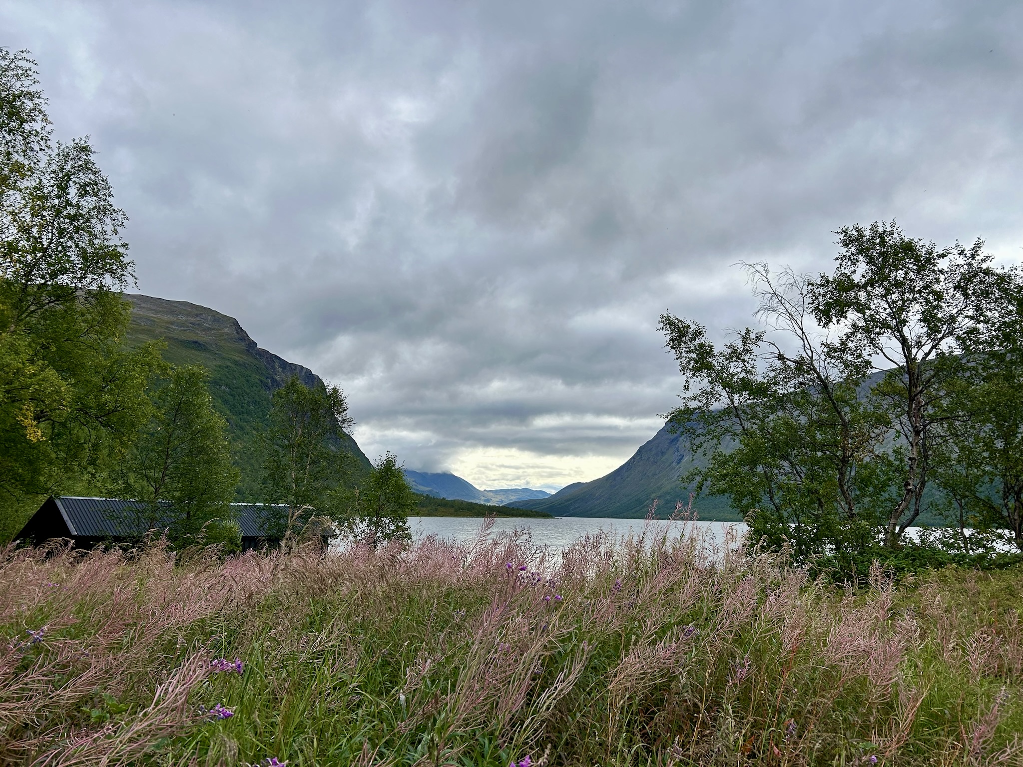 An der Tesajaure Fjällstuga angekommen
