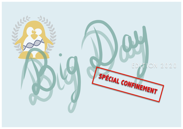 BIGDAY-2020 : Bilan et rediffusion