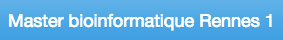 Lien vers le site du master