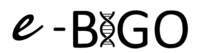 logo de l'association e-BIGO (bureau 2017)