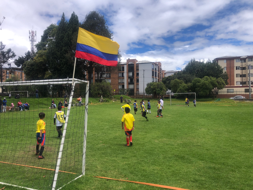 Celebrando con colombia la Copa America Usa 2024