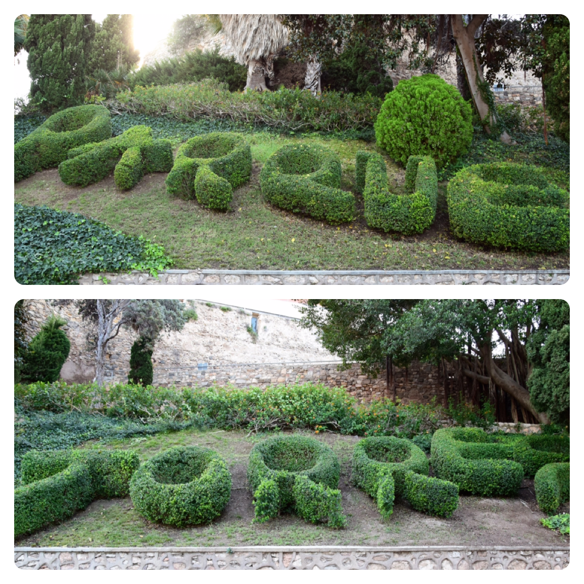 Durch den Park "El Parque Torres" hinauf zum "Castillo de la Concepción"