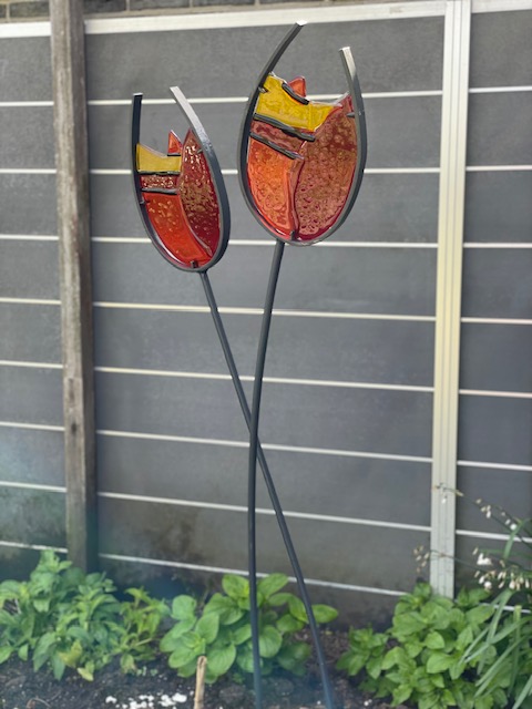 Tulpen