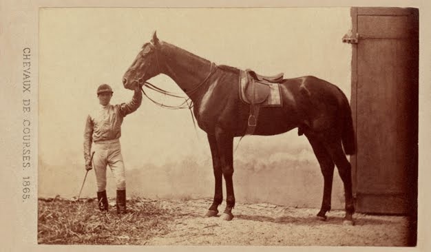 cheval de course gladiateur